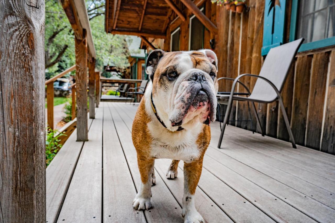 Colorado Bear Creek Cabins Evergreen Eksteriør billede